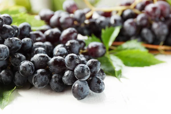 Olgun karanlık üzüm yaprakları, beyaz arka plan ile. Selectiva odak.