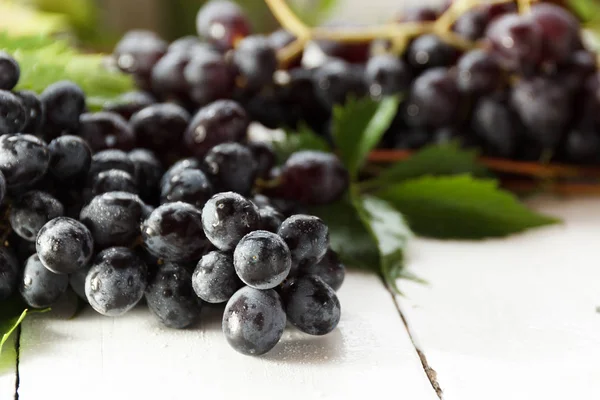 Olgun karanlık üzüm yaprakları, beyaz arka plan ile. Selectiva odak.