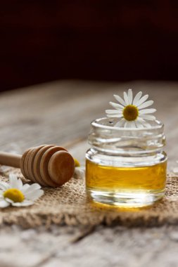 Taze bahar bal ahşap masa üzerinde papatya çiçeği ile