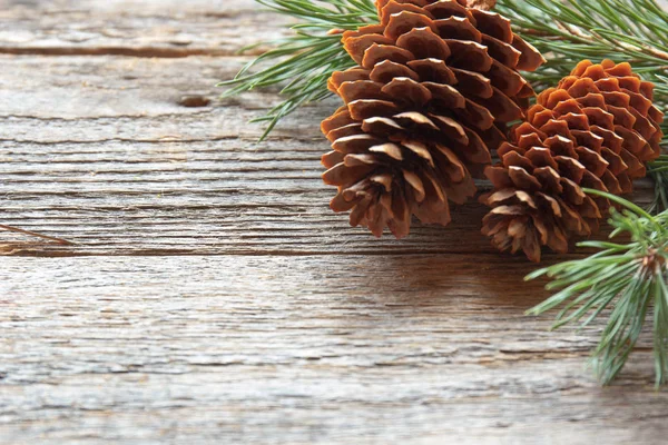 Çam kozalakları ve ahşap arka plan Christmas arka plan kopya alan seçici odak dallarda.