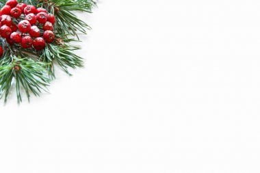 Çam ve bir demet beyaz zemin üzerine Kırmızı Rowan dallarında. Kopya alanı.