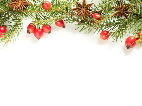 白背景, 果実ローズヒップ, 星のクリスマスの装飾、モミの枝します。コピー スペース — ストック写真