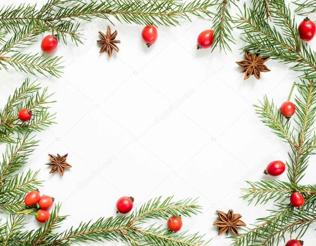 Christmas decorations on a white background, berries rose hips, stars, fir branches. copy space