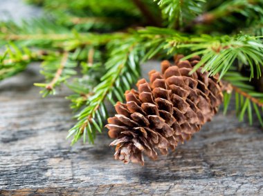 Tahtada süslemesi olan Noel ağacı