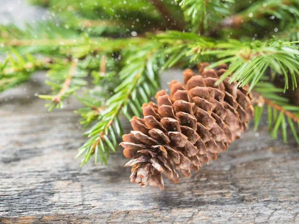 Abete di Natale con decorazione su una tavola di legno — Foto Stock