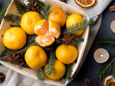 Bir köknar ağacının dalları ile ahşap sepeti, yıldız anason tarçın gri arka plan üzerinde taze mandalina