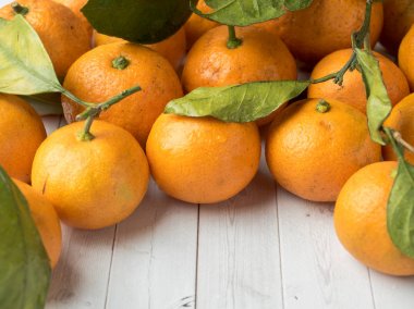 Taze mandalina veya mandalina sapları ve yaprakları üzerinde beyaz ahşap arka plan kopya alanı ile