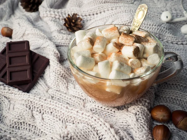 Confortable fond de maison d'hiver. Cacao dans une tasse en verre avec guimauve, cônes de cannelle au chocolat et noix — Photo