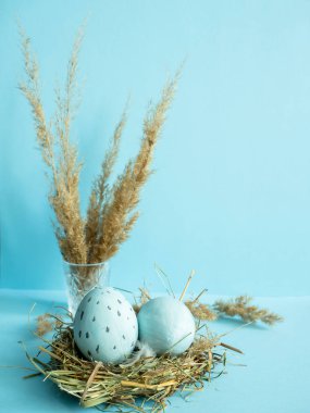 Çim bir yuvadaki yumurta. Mavi arka plan.