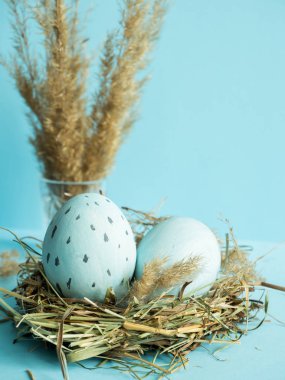 Çim bir yuvadaki yumurta. Mavi arka plan.