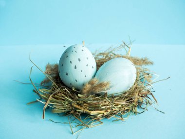 Çim bir yuvadaki yumurta. Mavi arka plan.