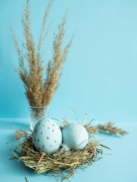 Uova di Pasqua in un nido d'erba. Fondo blu . — Foto Stock