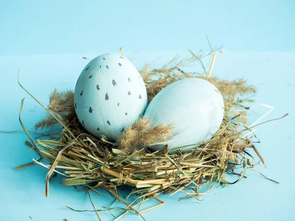 Пасхальные яйца в травяном гнезде. Синий фон . — стоковое фото