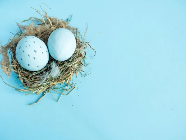 Uova di Pasqua in un nido d'erba. Fondo blu . — Foto Stock