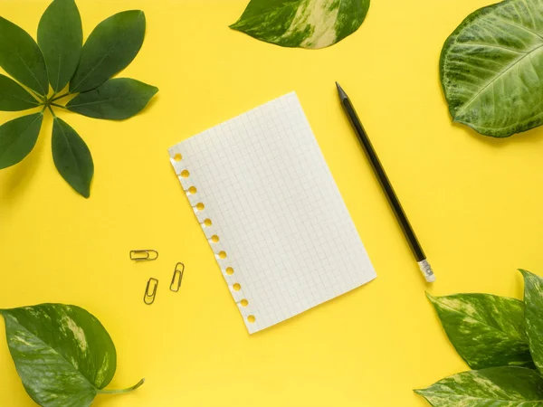 Σημειωματάριο (Notepad) φύλλων με μολύβι στο κέντρο σε κίτρινο φόντο με τα πράσινα φύλλα — Φωτογραφία Αρχείου