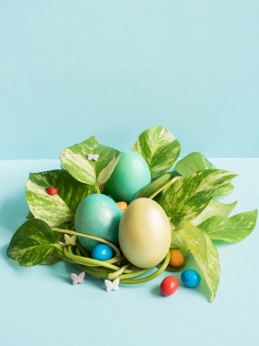Paskalya yumurtaları yuvadan yeşil yaprakları mavi bir arka plan üzerinde kopya alanı