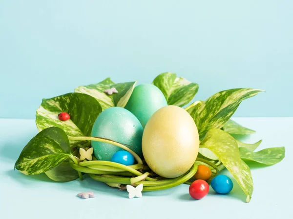 Wielkanocne jaja w gnieździe z zielonych liści na niebieskim tle — Zdjęcie stockowe