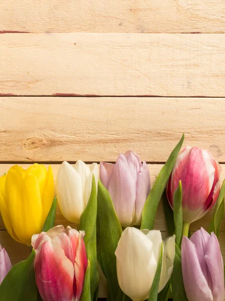 Marco de tulipanes multicolores sobre fondo de madera —  Fotos de Stock