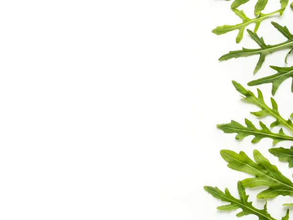 Cornice di foglie di rucola verde su sfondo bianco Copia spazio — Foto Stock