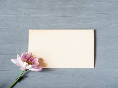 Gri beton zemin metin için kart üzerine pembe krizantem