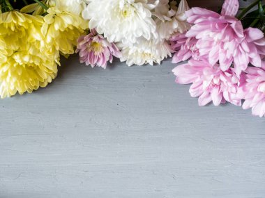 Metin için yer gri beton zemin üzerine renkli çiçekler krizantem