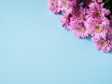 Metin için mavi bir arka plan yer üzerinde çok renkli krizantem buket