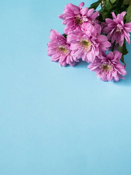 Ramo de crisantemos multicolores sobre fondo azul Lugar de texto — Foto de Stock