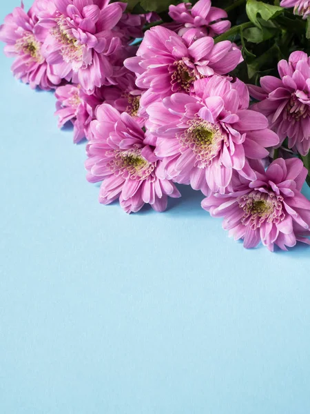 Ramo de crisantemos multicolores sobre fondo azul Lugar de texto — Foto de Stock