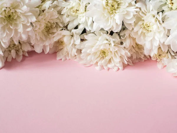 Ramo de crisantemos multicolores sobre fondo rosa Lugar de texto — Foto de Stock