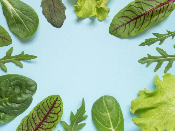 Frame of fresh leaves of green spinach and arugula salad rocket, arugula on a blue background