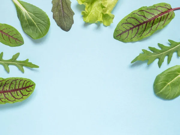 Frame of fresh leaves of green spinach and arugula salad rocket, arugula on a blue background