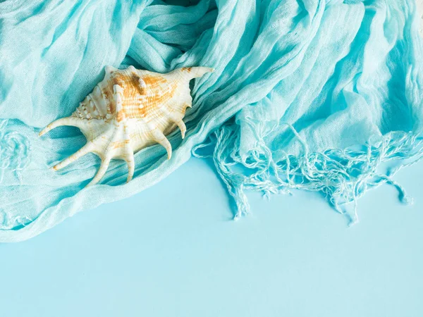 Conchas de varios tipos sobre un fondo azul. Conchas marinas y estrellas de mar sobre un fondo pastel. Concepto de vacaciones — Foto de Stock