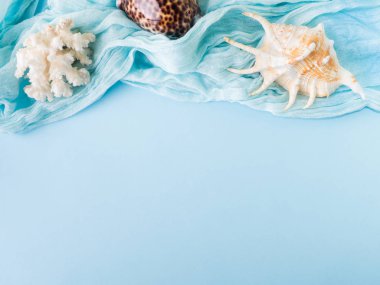 Mavi bir arka plan üzerinde çeşitli kabukları. Deniz kabuklarını ve denizyıldızı pastel bir arka plan üzerinde. Tatil kavramı