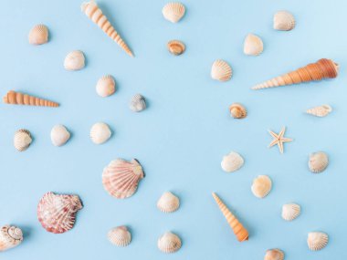 Mavi bir arka plan üzerinde birçok farklı deniz kabukları. Düz yatıyordu.
