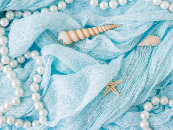 Shells of various kinds on a blue background. Seashells and starfish on a pastel background. Vacation concept — Stock Photo, Image