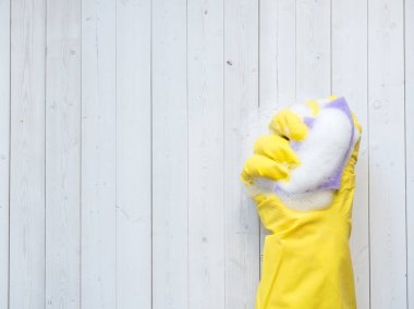 ev işleri, ev ve ev kavramı - malzeme temizlik