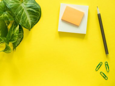 Not etmek için notlar, yeşil bitki sarı masaüstü, düz yatıyordu, kopya alanı bırakır..