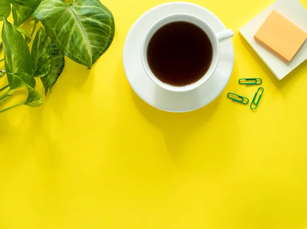 Hojas verdes planta de café Copa en el escritorio amarillo, plano, espacio de copia . — Foto de Stock