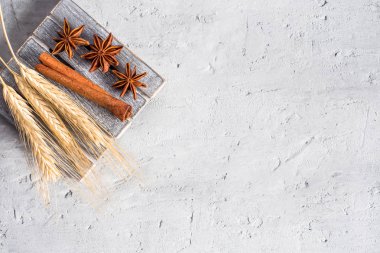 Gri beton arka plan kopya alanı üzerinde ahşap stand anasonu buğday kulakları baharatlı baharat tarçın sopa