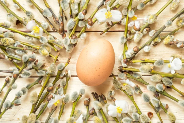 Rami di salice primaverile con boccioli fioriti e uova di pollo su sfondo di legno — Foto Stock