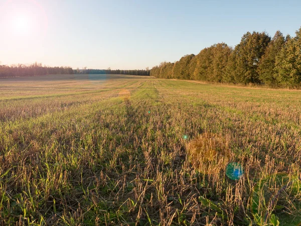 Campos rurais no outono com florestas no fundo Pôr do sol — Fotografia de Stock