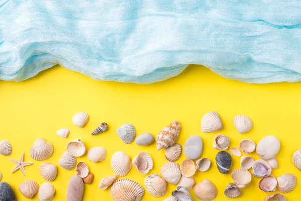El concepto de vacaciones de verano. Conchas de mar fondo amarillo Bufanda azul imitación mar — Foto de Stock