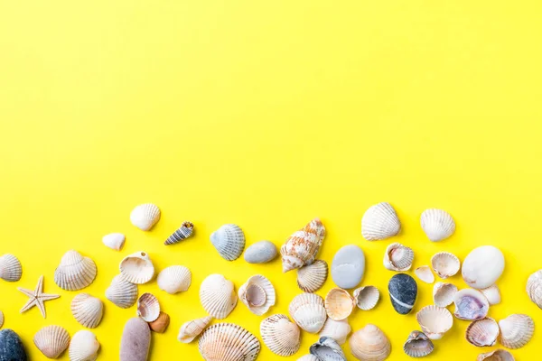 El concepto de vacaciones de verano. Conchas marinas sobre fondo amarillo — Foto de Stock