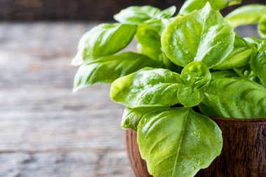 Ahşap rustik bir tablo üzerine bir kase taze fesleğen