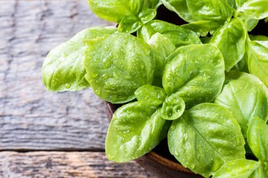 Ahşap rustik bir tablo üzerine bir kase taze fesleğen