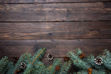 Koyu ahşap arka planda konileri olan Noel ağacı. Uzayı kopyala Düz yatıyordu.