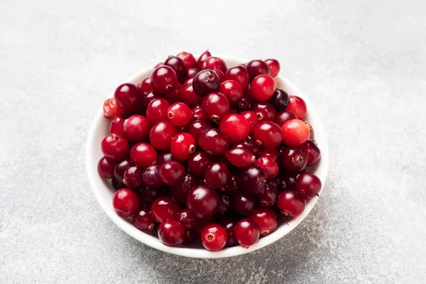 Fresh raw berries cranberries in a plate on a gray background with copy space. — Stock Photo, Image