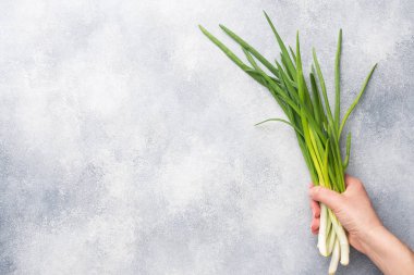 Gri beton bir arkaplanda yeşil soğan ya da arpacık soğanı ile boşluğun bir kopyası.