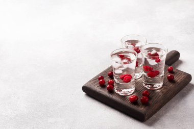 Ahşap bir stantta ve arka planda yığınla votka ve kızılcık. Mekanın kopyası. Bar alkollü içecek tentürü..