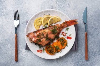 Fırında deniz levreği, domates biberli limon ve gri beton arka planda seramik bir tabakta otlar. Fırında pişmiş levrek balığı. Üst görünümü kopyala.